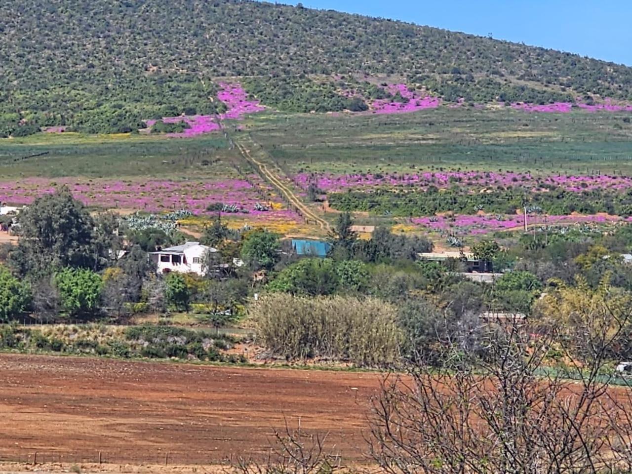 Kranskloof Country Lodge Оудсгорн Екстер'єр фото